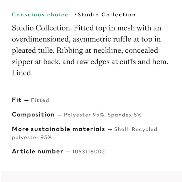 H&M Studio SS 2022 Ruffle-Trimmed Mesh top - Picture 3 of 3
